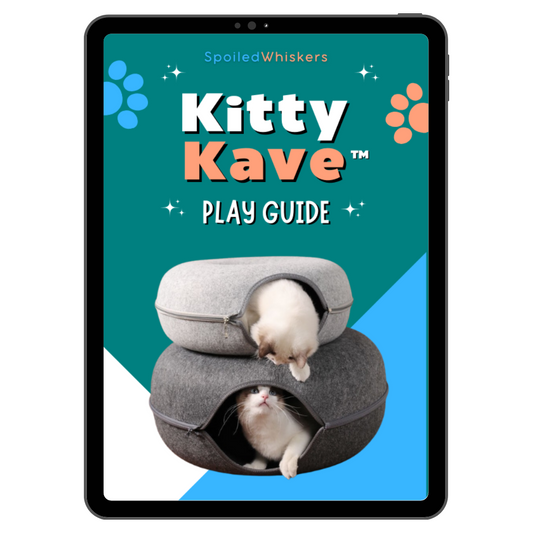 KittyKave™ Play Guide