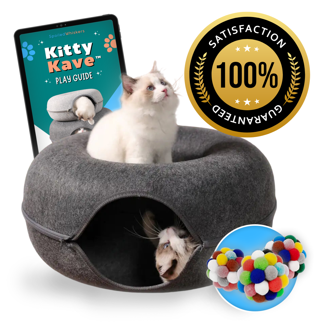 NEW Premium Multi-cat KittyKave™ Tunnel Kit